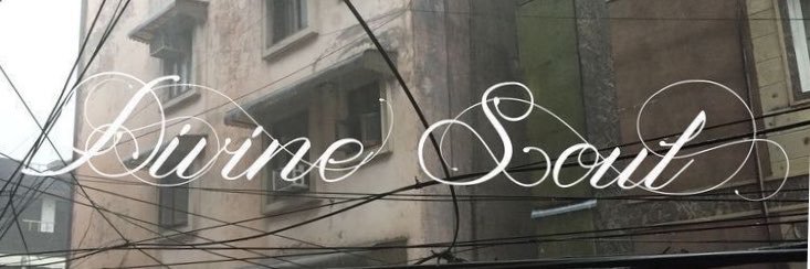tinnbesitos's profile banner image