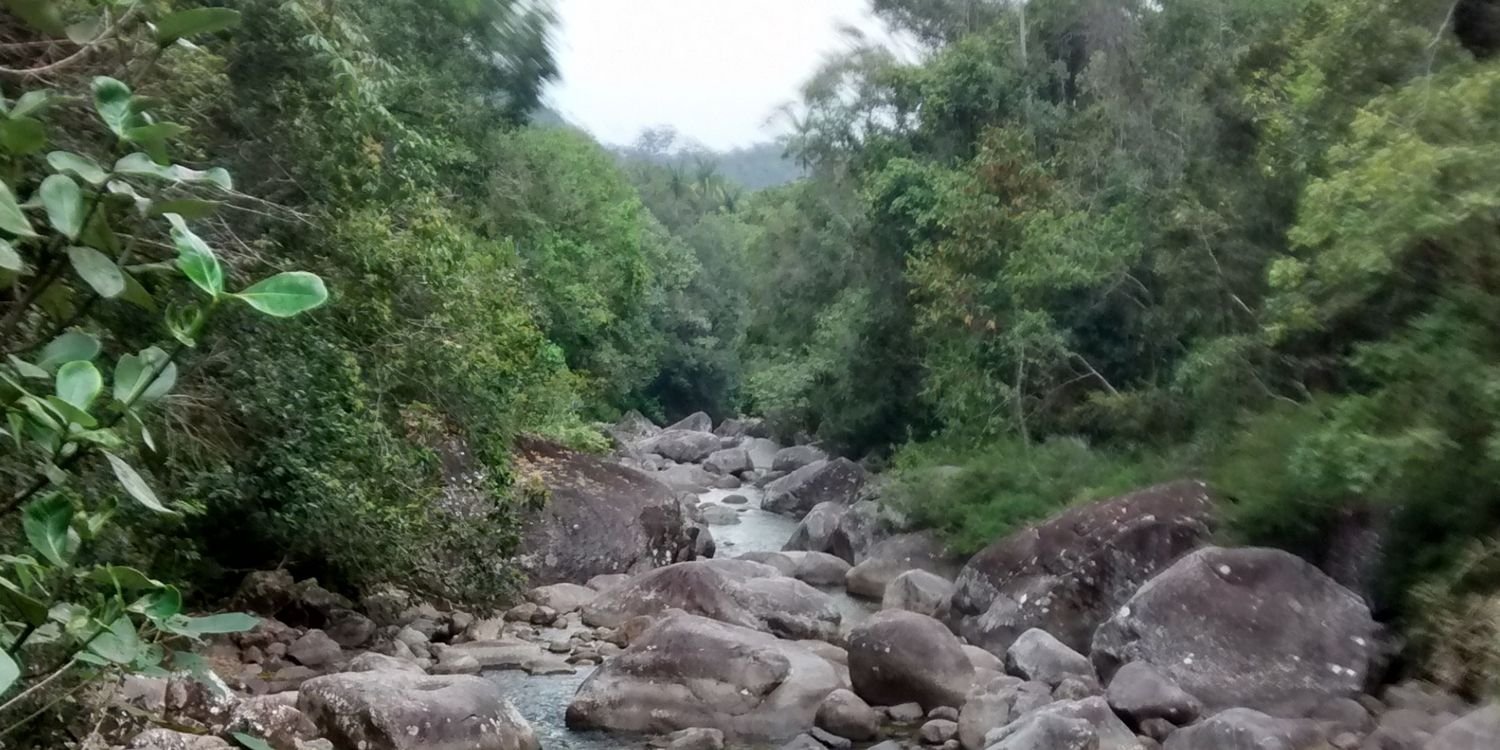 Samantha Sepulveda banner