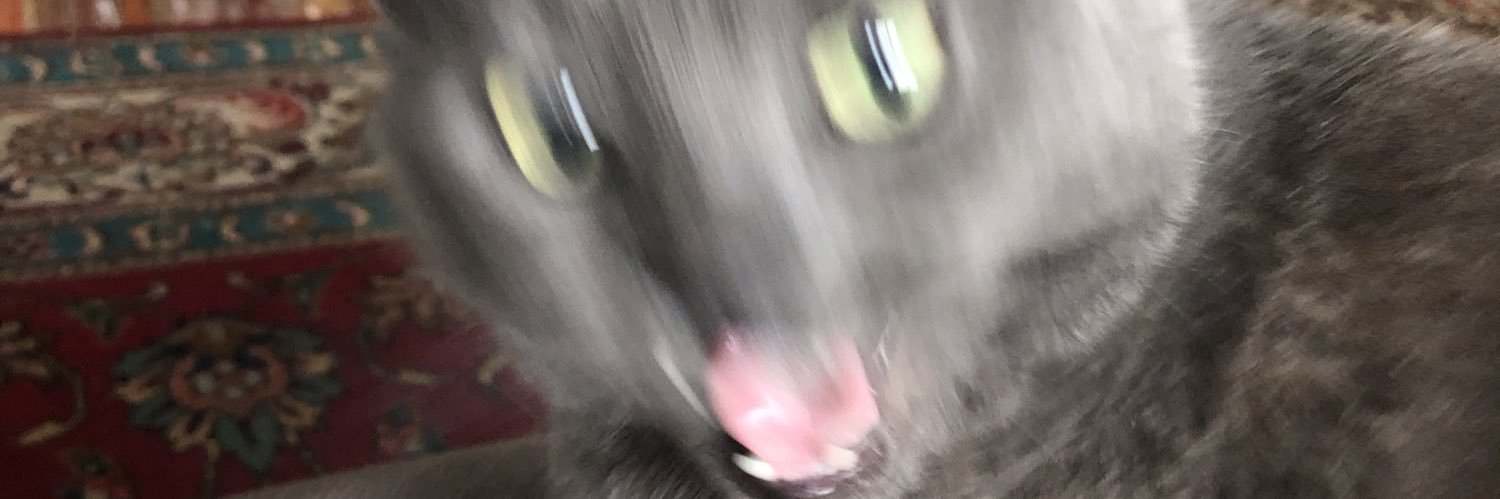 NickoleBart's profile banner image