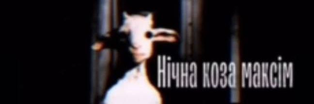Рина banner