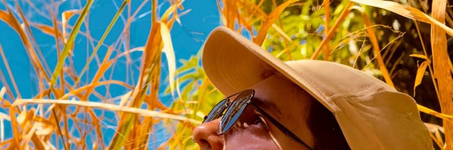 Samuel Peixoto banner