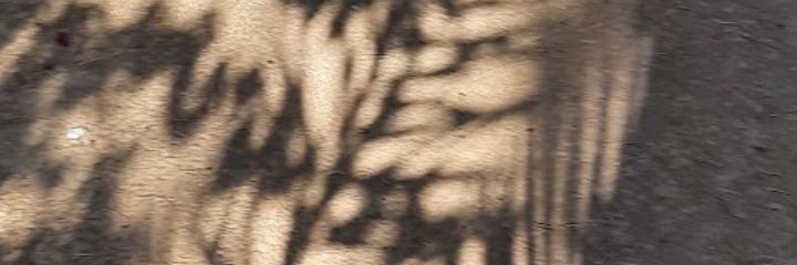 tkherbicha's profile banner image