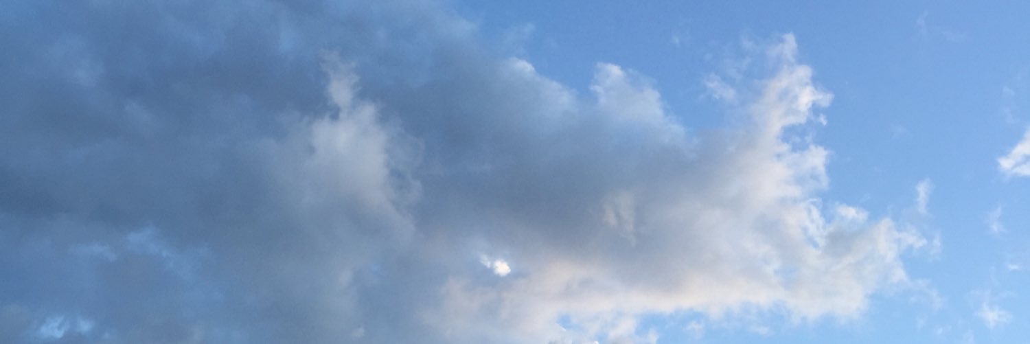 polytho14's profile banner image