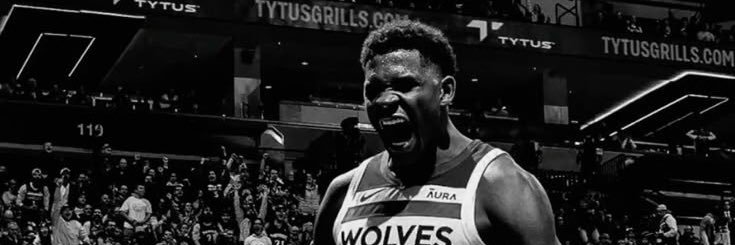 Ant Performances banner