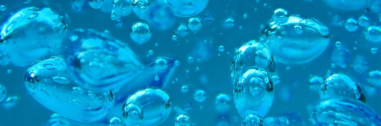 DiveIntoDapne banner