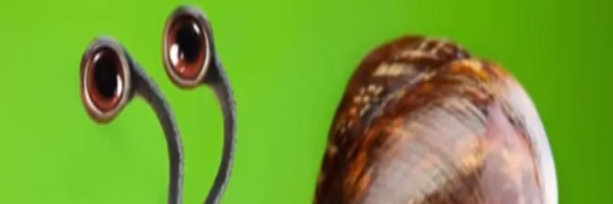Sobqule banner
