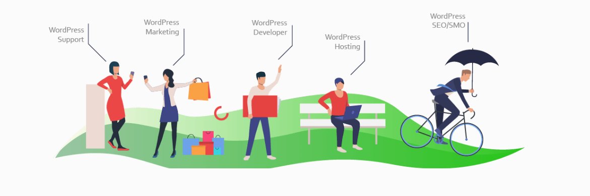 SoloStream, LLC banner