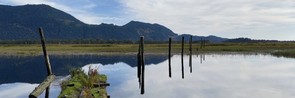 SteveKimBC Profile Banner