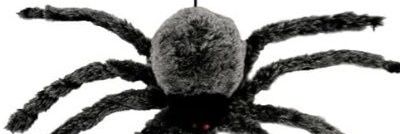 العنكبوت banner