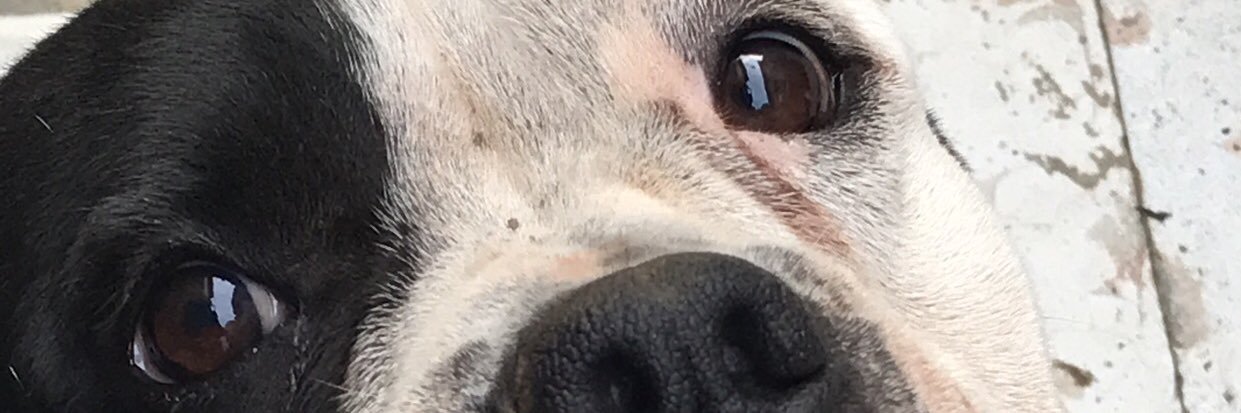 natalianfo's profile banner image