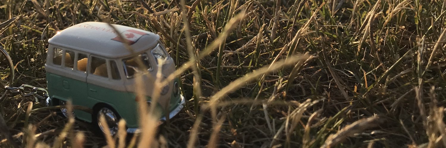 cammmmmmmmmi's profile banner image