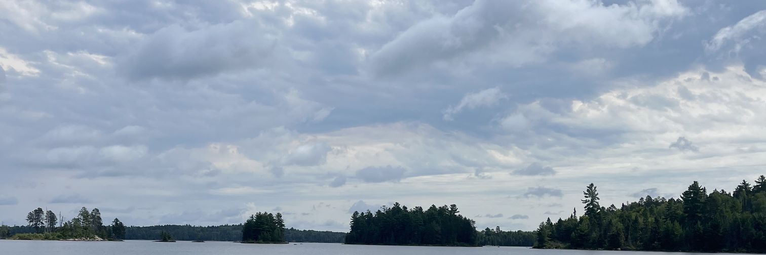 widespot banner