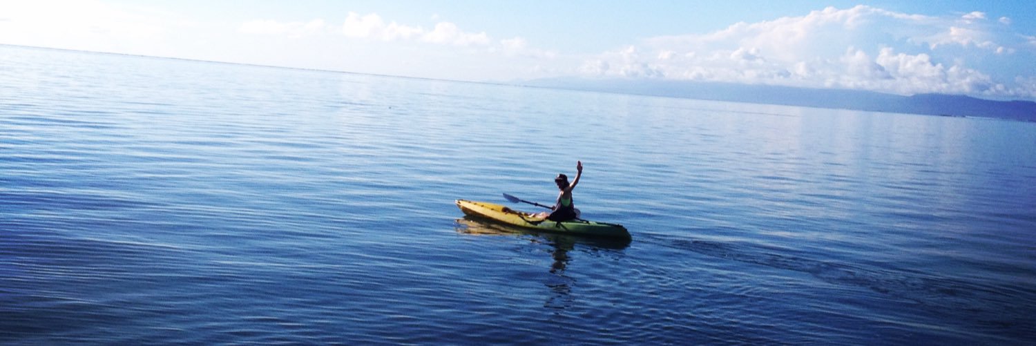 Nicola Hetherington banner