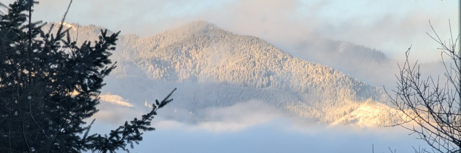 HammaRidge's profile banner image