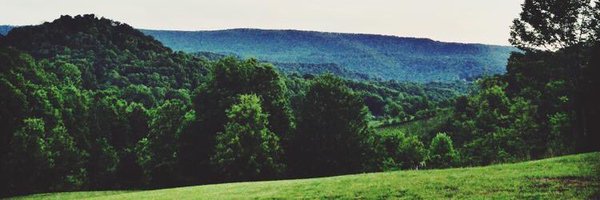 emily_fri Profile Banner