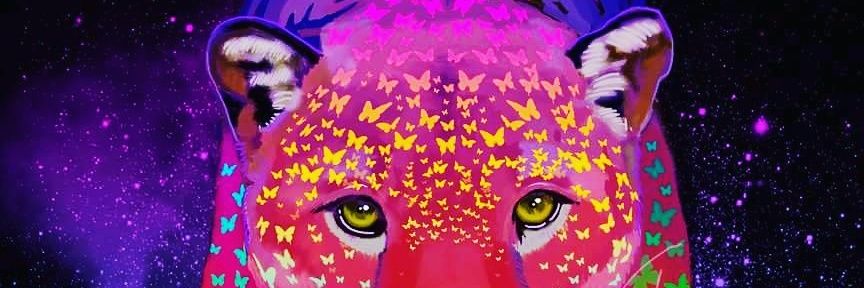 betsibatun's profile banner image