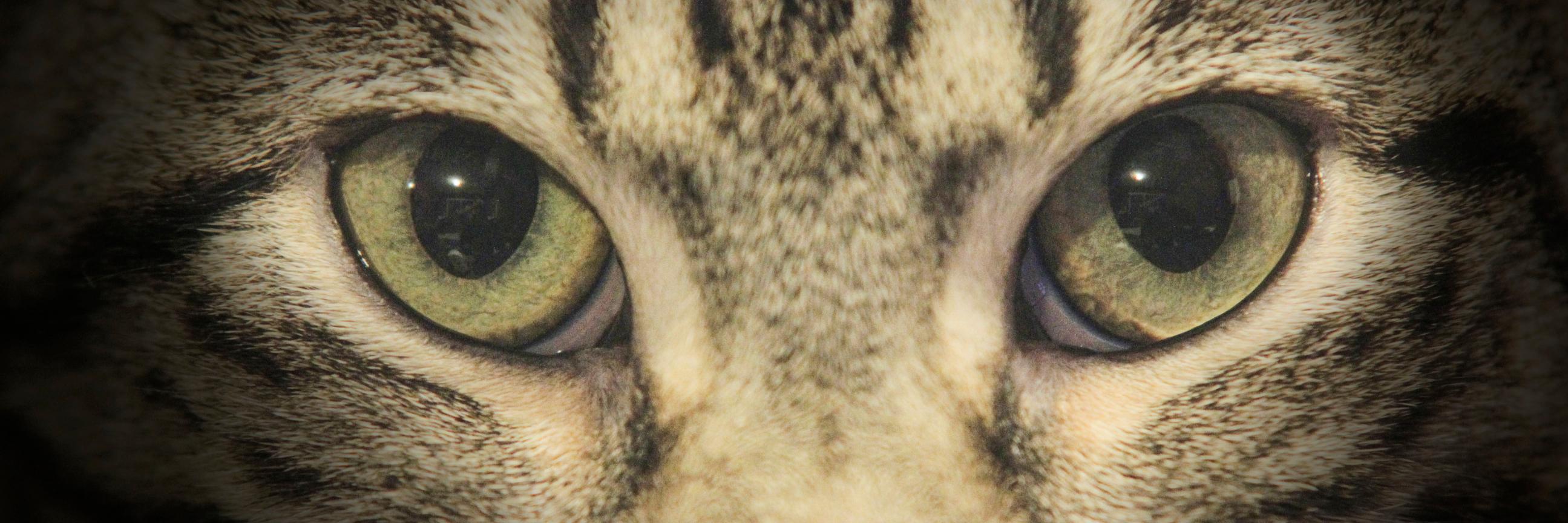 xgurbyx's profile banner image
