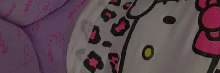 sofii_hm banner