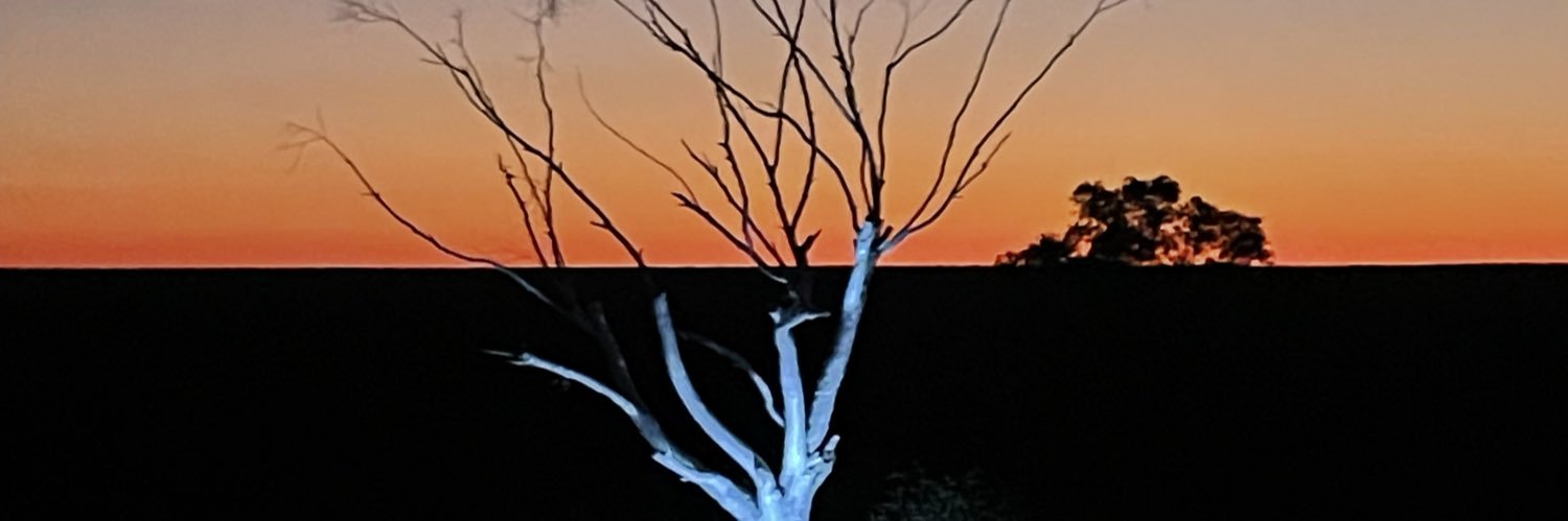 KaylaFailure🇦🇺🏳️‍⚧️ banner