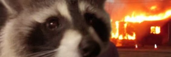 RosSharuu's profile banner image
