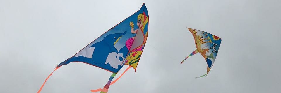 Magabe banner
