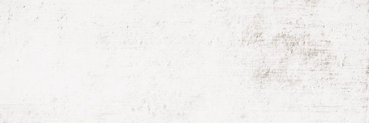 Mónica Forero M. banner