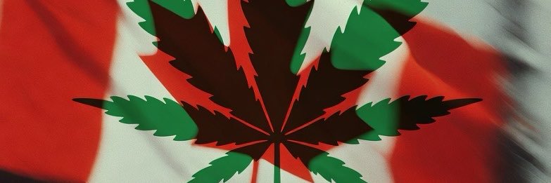 True North Unfiltered banner