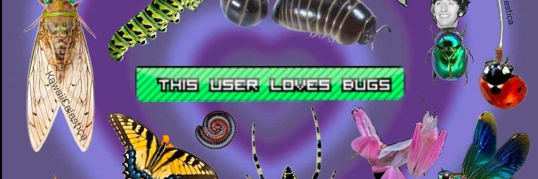 bvgsoup's profile banner image
