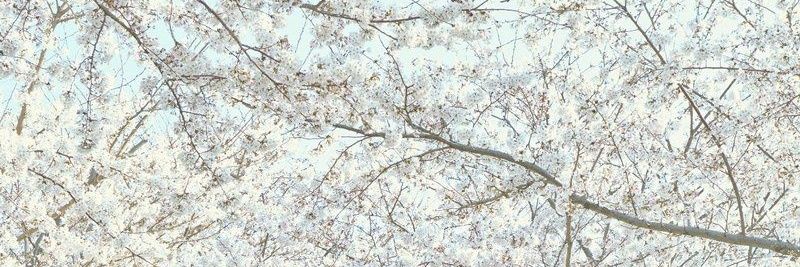 minah1607's profile banner image