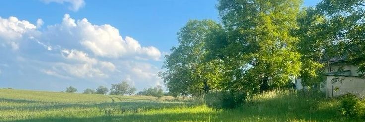 𝓐 eriel💐 banner
