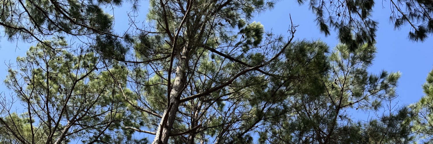 Alt Social Work Mom banner