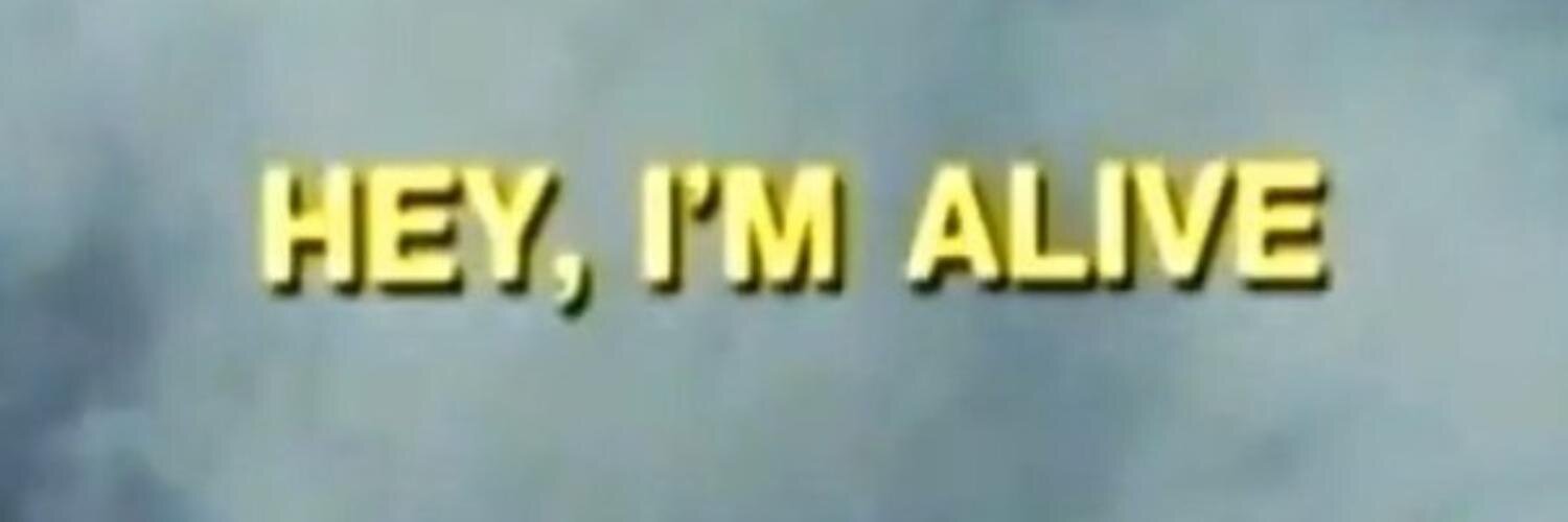 jennylsq's profile banner image