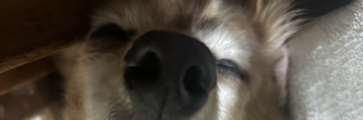 みやび banner