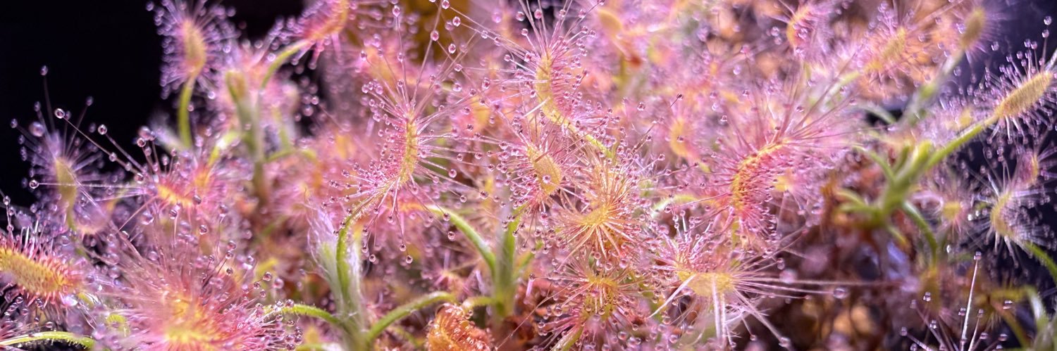 食虫植物と記念Suicaが好き(食虫) banner
