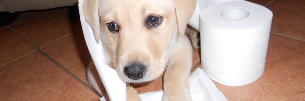 liamgjohnson Profile Banner