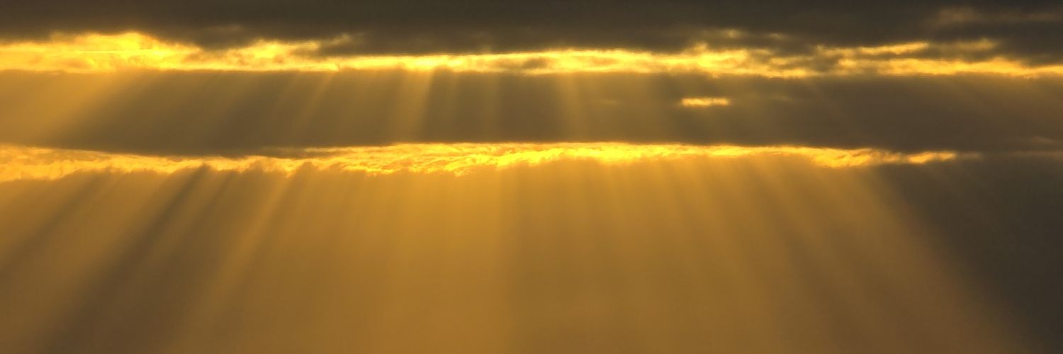 INENTENDIDO_'s profile banner image