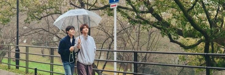 kima 💌 banner