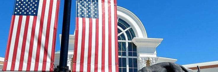 Sophia Williams banner