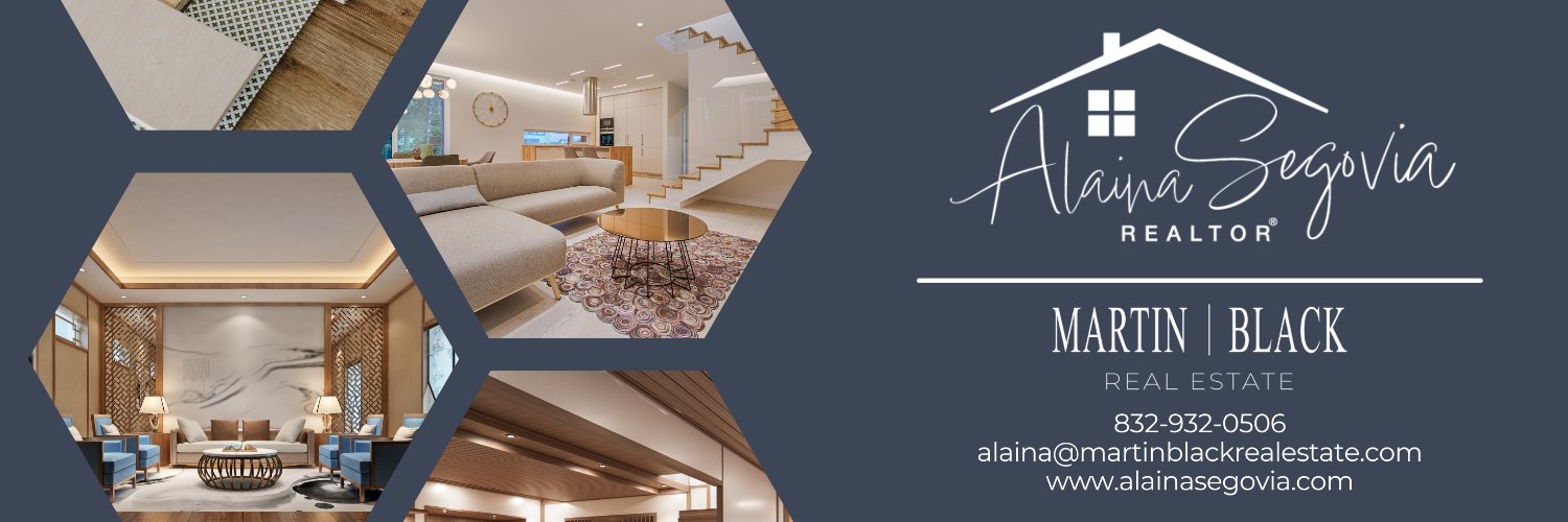 Alaina Segovia, REALTOR | Houston banner