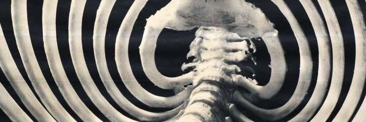 r∅tten ÷ shedtwt banner