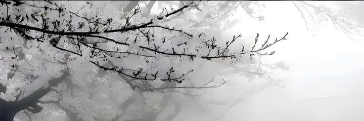 ᢉ𐭩 𐔌 saf ꒱ banner