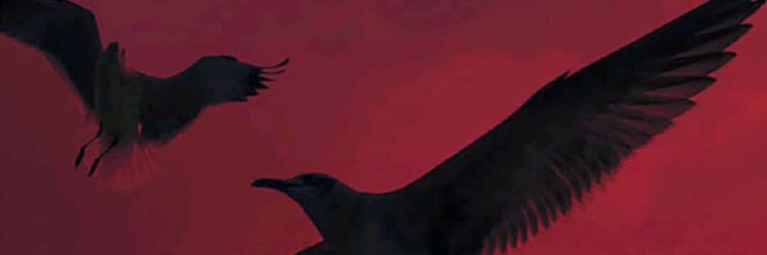 불완전한 찬미 banner