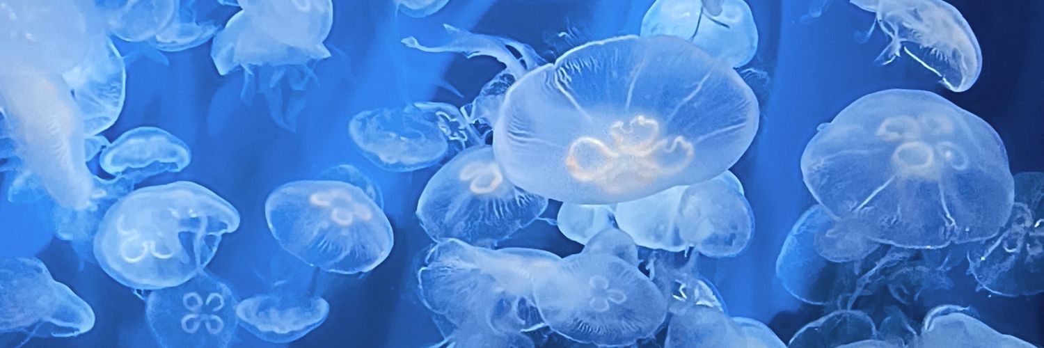 うるふ banner