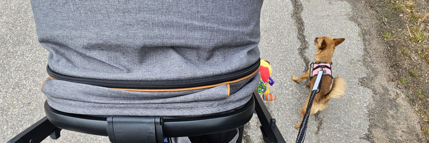 Tammie • AuDHD mom of 2 banner