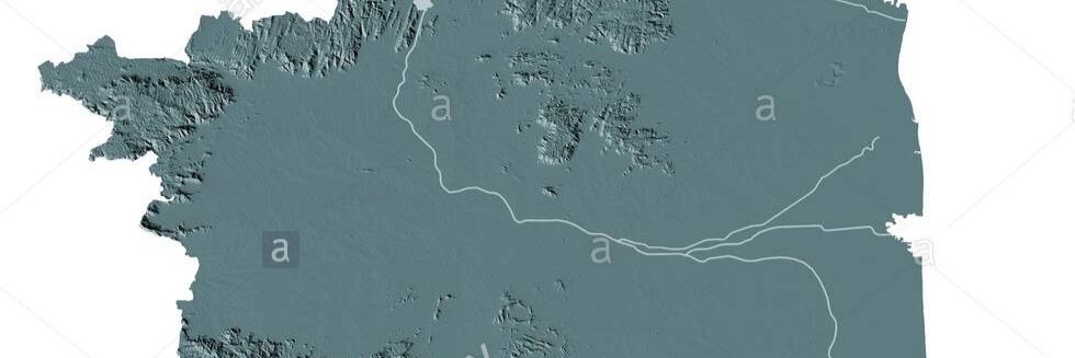 Flourishing TN banner