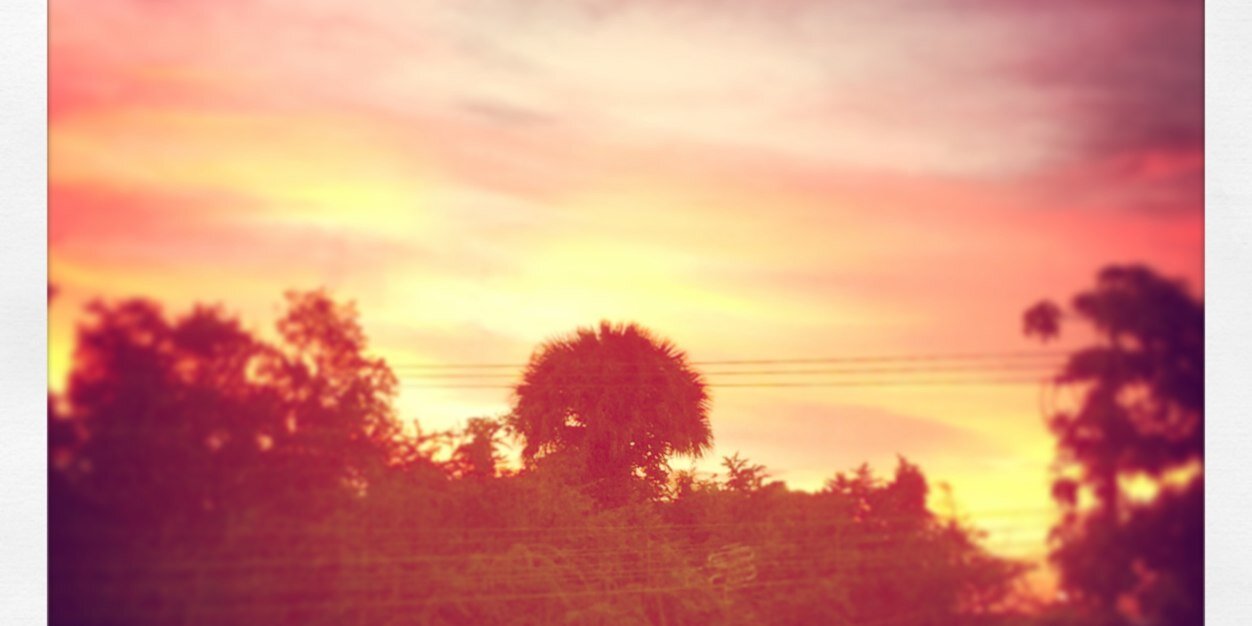 Rosshiis's profile banner image
