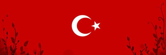 Asarikaya1985's profile banner image