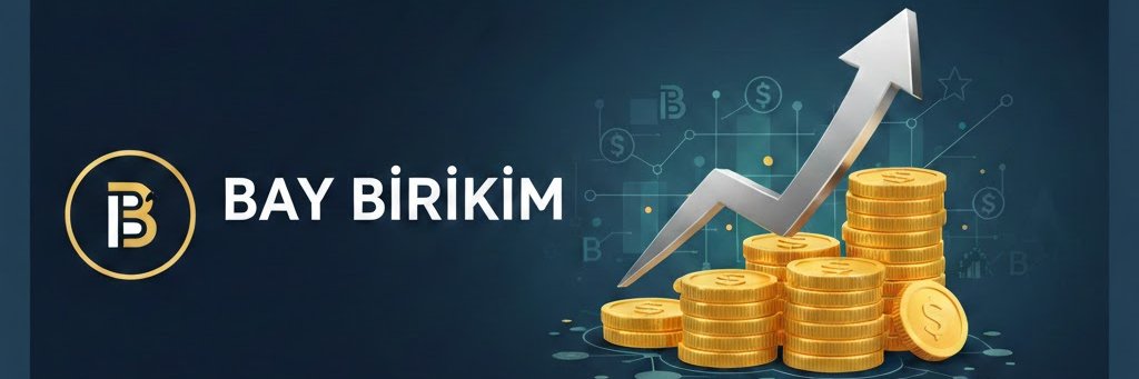 BayBirikim's profile banner image