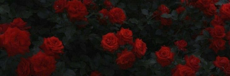 لونا ❣️ banner