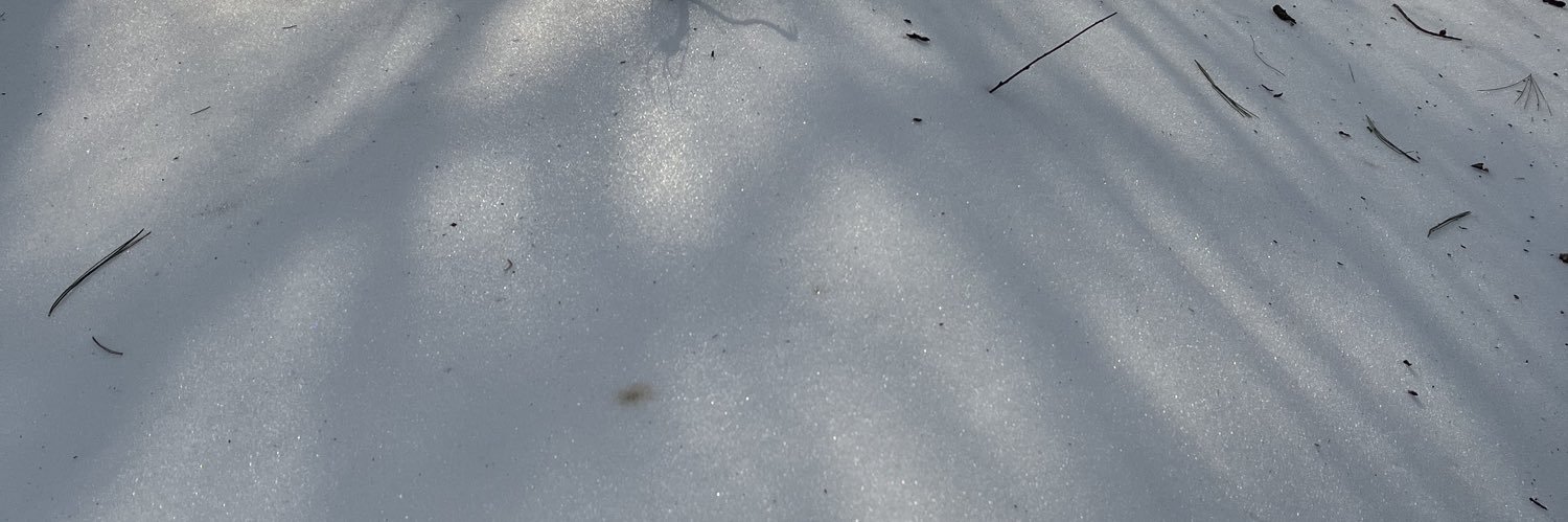 Conman_TheMan5's profile banner image